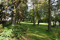 Garten mit Baumlandschaft