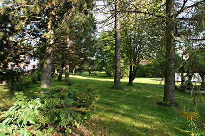 Garten mit Baumlandschaft
